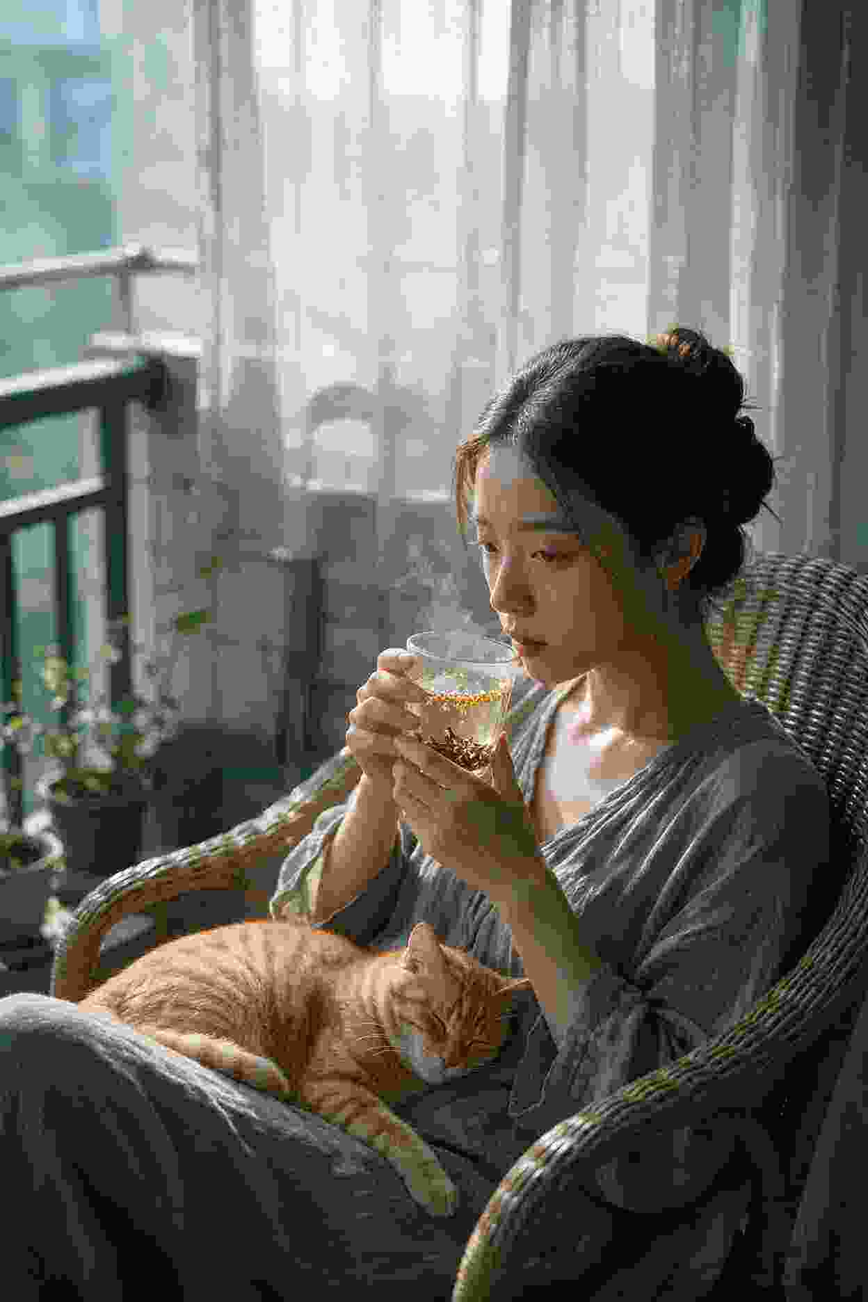 众星捧月